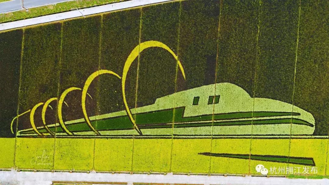 震撼！钱塘江畔出现巨型画作，有28个足球场这么大！