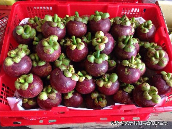 山竹看皮薄怎么挑,山竹怎么挑选5公6母