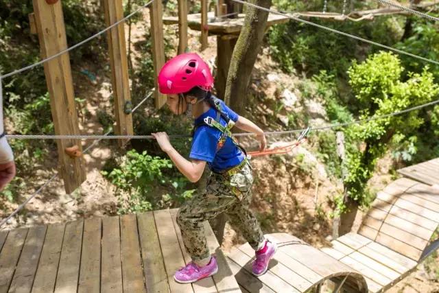 丛林探险乐园门票团购抖音,可拉熊丛林探险营地抖音团购