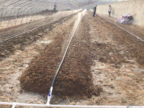 投资少见效快的养殖项目,投资小见效快的养殖好项目赚钱