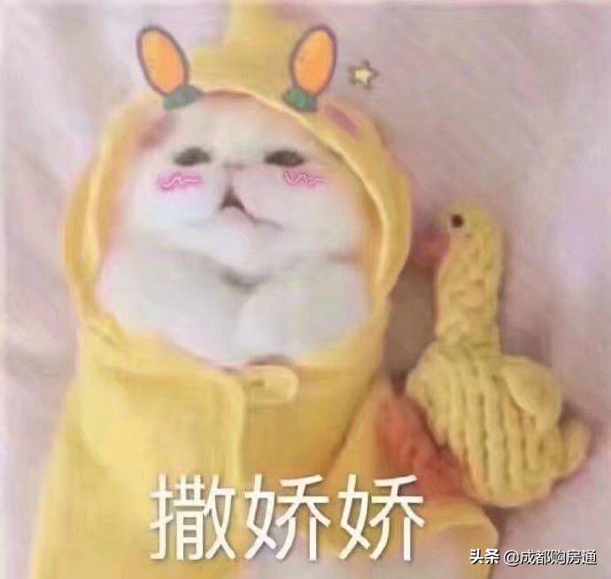 奇葩楼盘名,成都十大奇葩楼盘