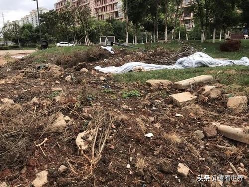 物业要建停车场业主说啥不答应,小区物业拆绿化带建停车场违规吗