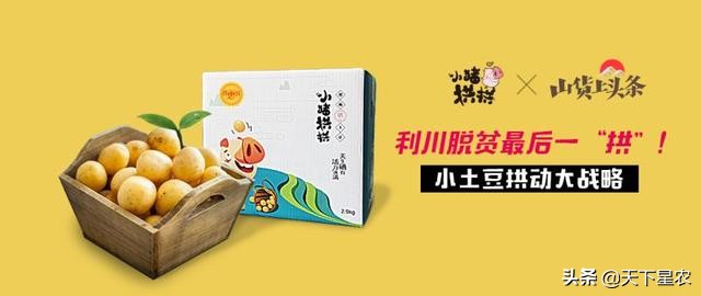 龙港农民城规划,真实记录腾飞中的龙港新城