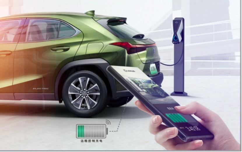 晓敏试驾丰田,晓敏试车