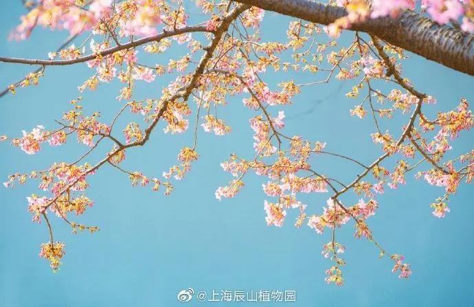 所有女生!各大品牌的春季眼影盘来咯