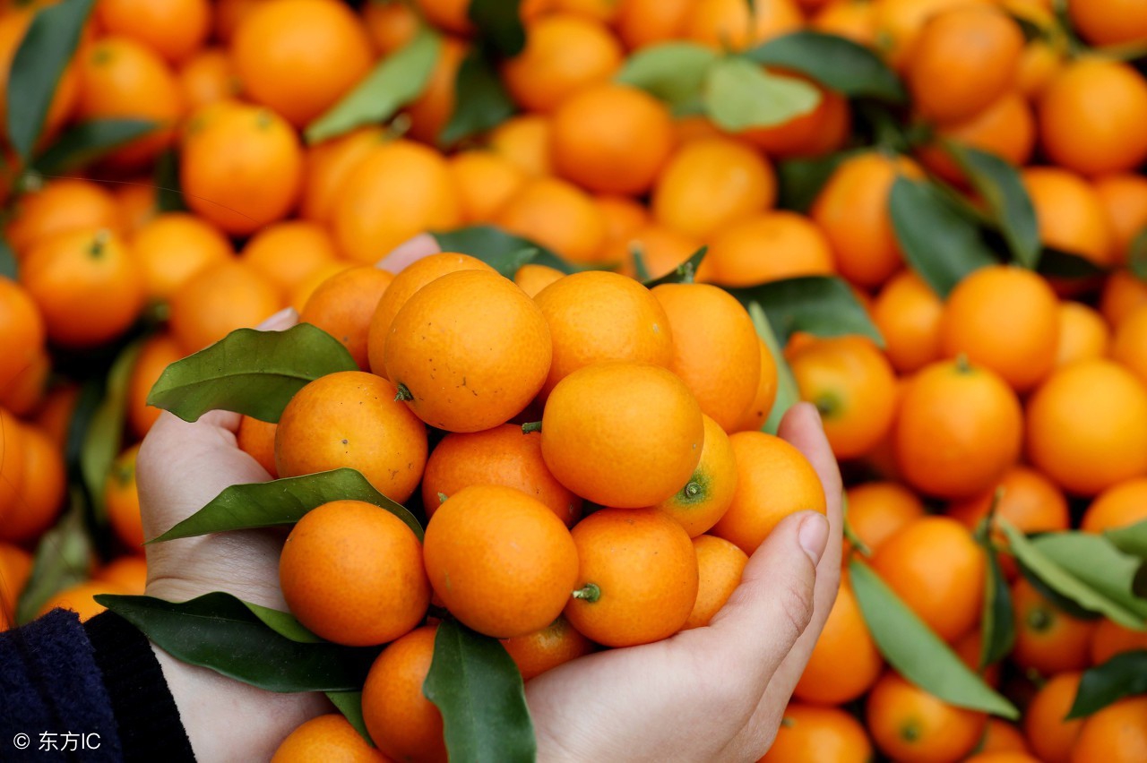 过年吃肉多了不消化,过年吃肉肚子不舒服