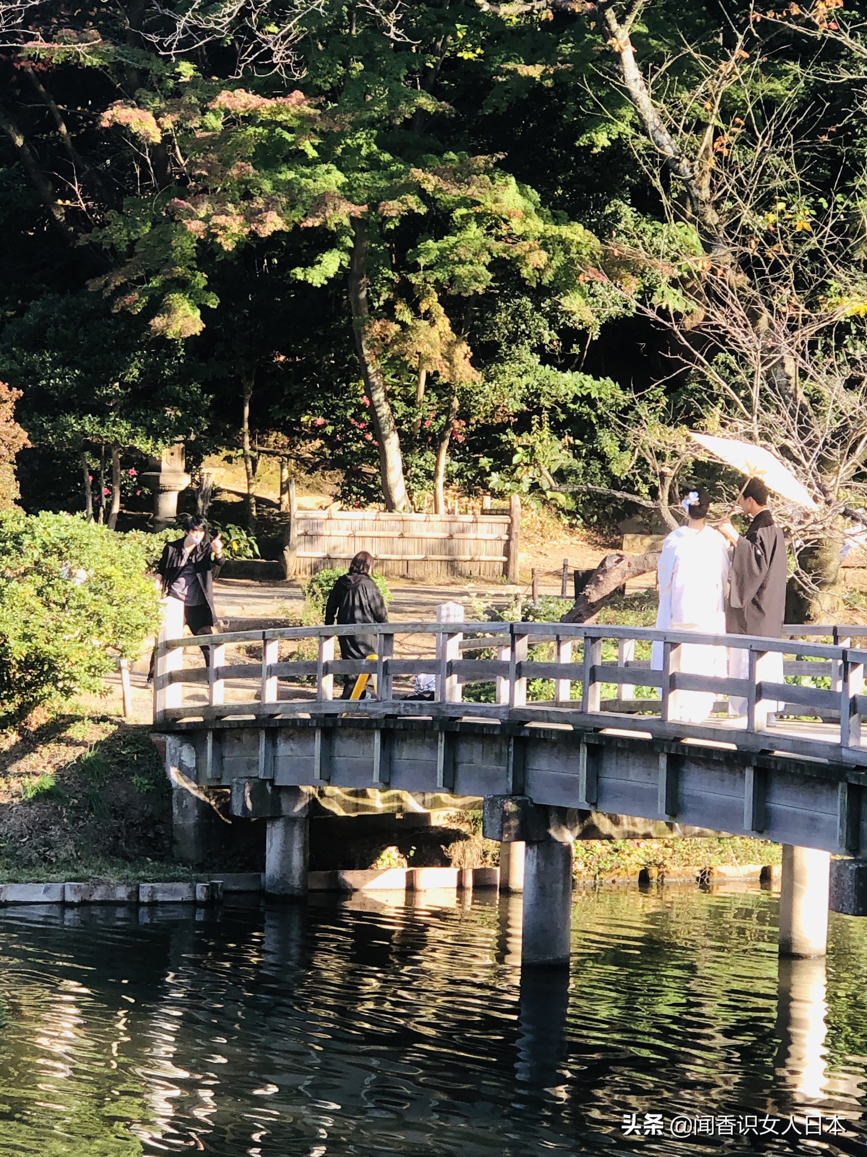 横滨三溪园,横滨三溪园介绍