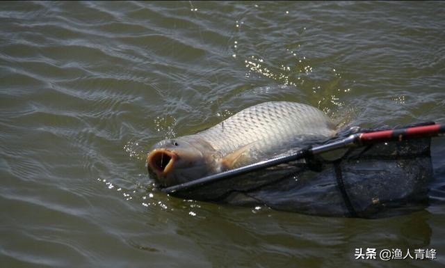 频繁空杆,怎样避免空竿