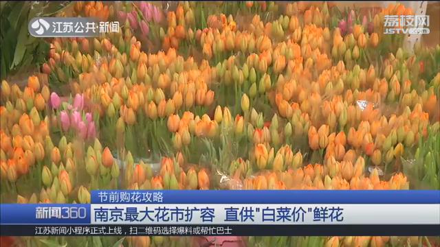 玫瑰一元、百合两元！探访南京最大花市鲜花卖出“白菜价”