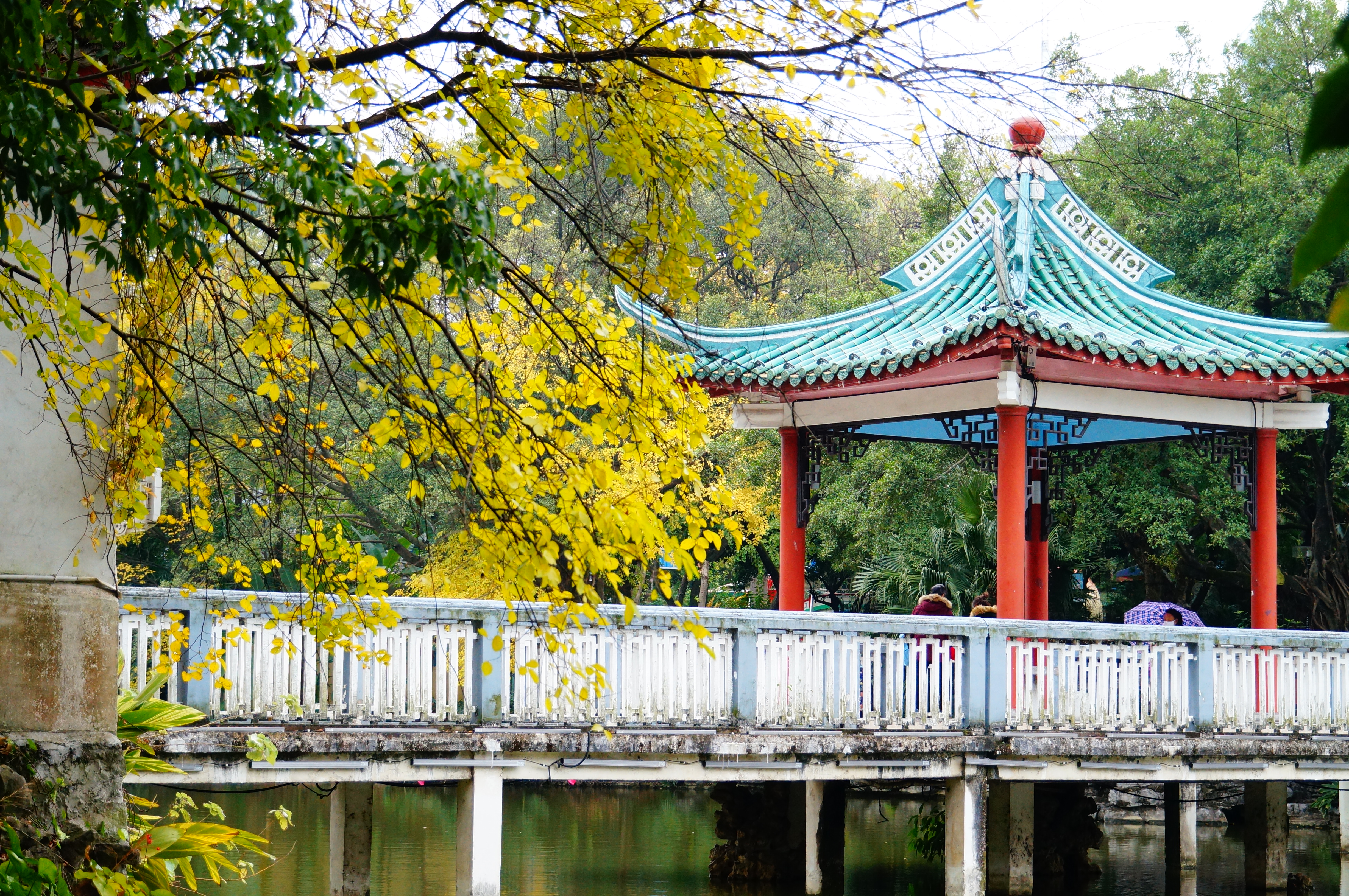 柳州的柳侯公园景色,柳州的秋天美景