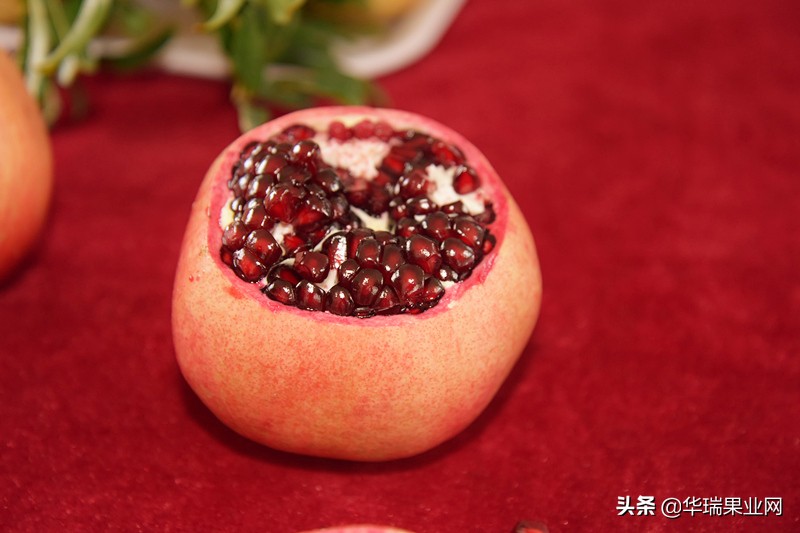 石榴套袋的正确使用方法,石榴套袋打什么农药合适