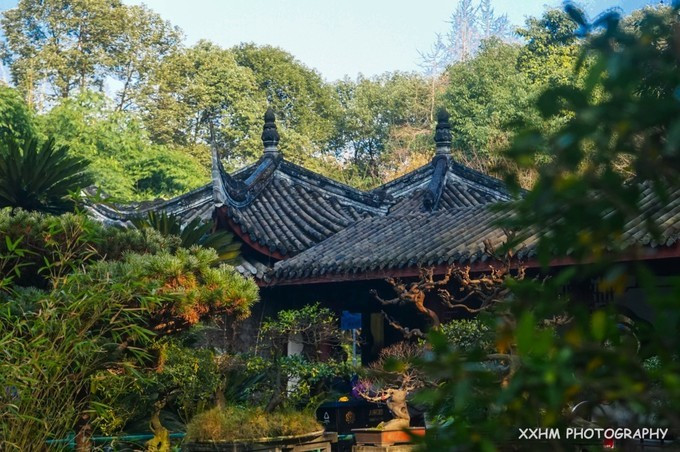 成都本地人去的最好吃的美食,中国姑娘吃成都美食