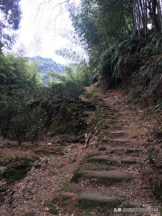 假日山村游玩,假日凤凰山旅游攻略