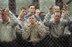 为什么说肖申克的救赎是最佳影片,为什么肖申克的救赎成为经典