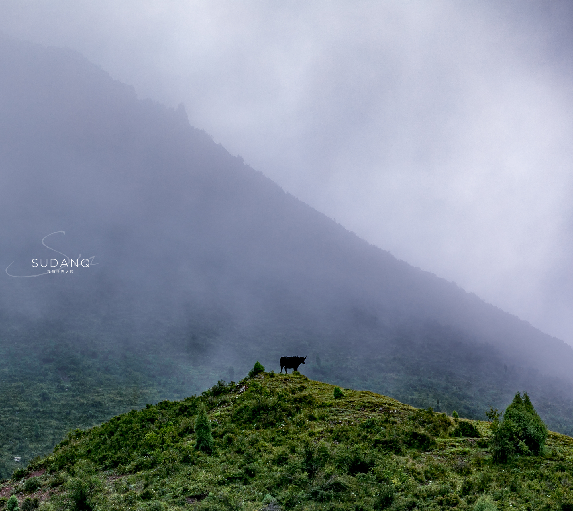 自驾游昆仑山大峡谷,祁连探秘