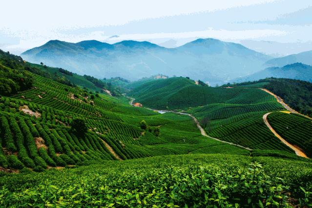 欢呼!余杭9条精品旅游线出炉!瓶窑、塘栖、中泰...太惊艳了!