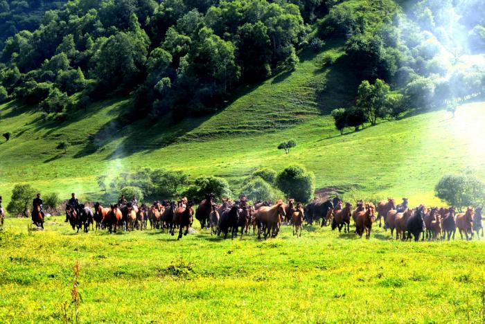 宝鸡附近避暑绝佳的地方,宝鸡十大避暑景点排名第一