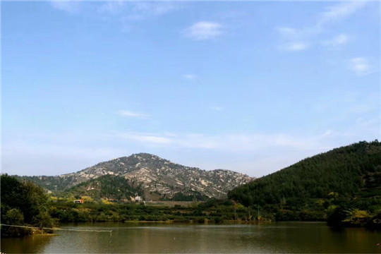 古枣林，古村落……湖北随县华宝村“红玉”飘香，值得你来看