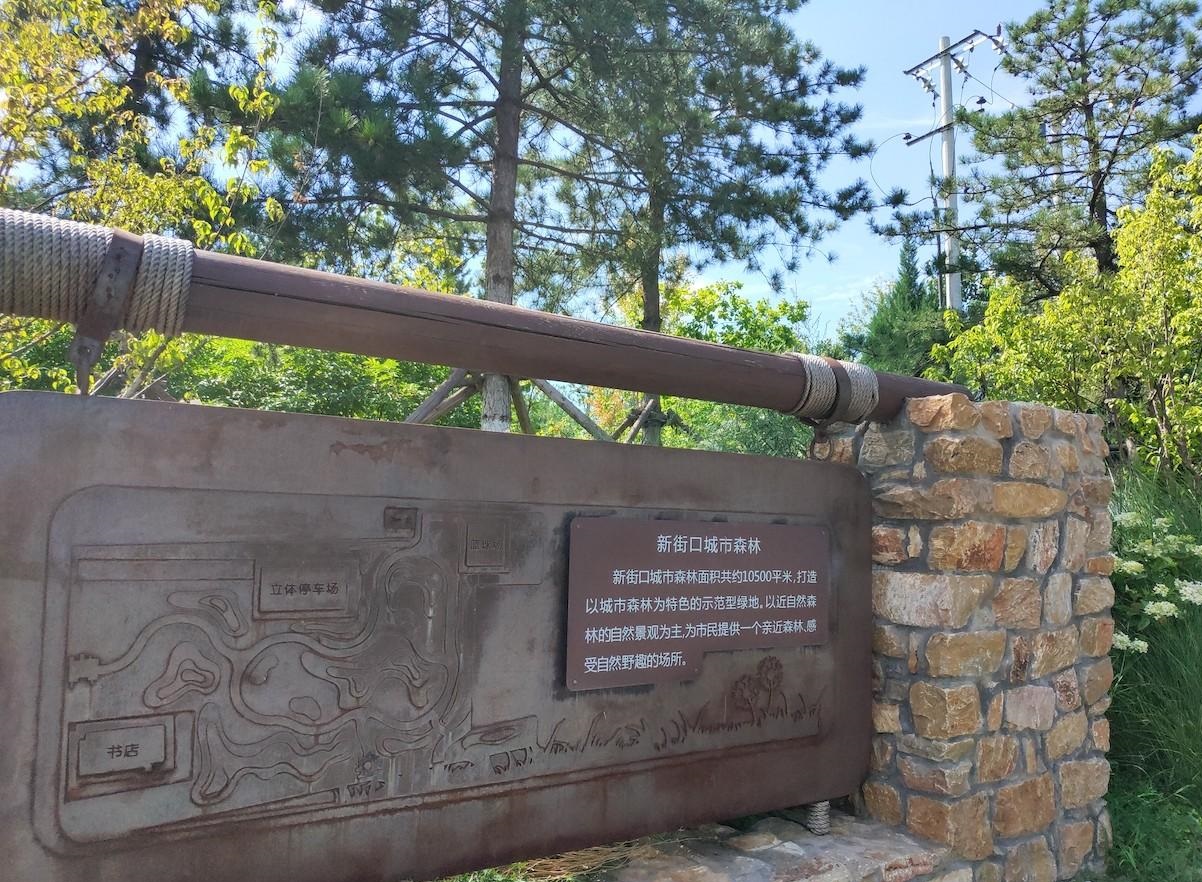 北京市国家级森林公园有哪些,北京市新街口城市森林公园