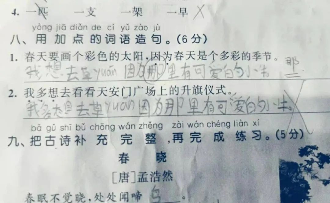 老母亲当代陪读史：写啥啥不行，挑刺一门灵