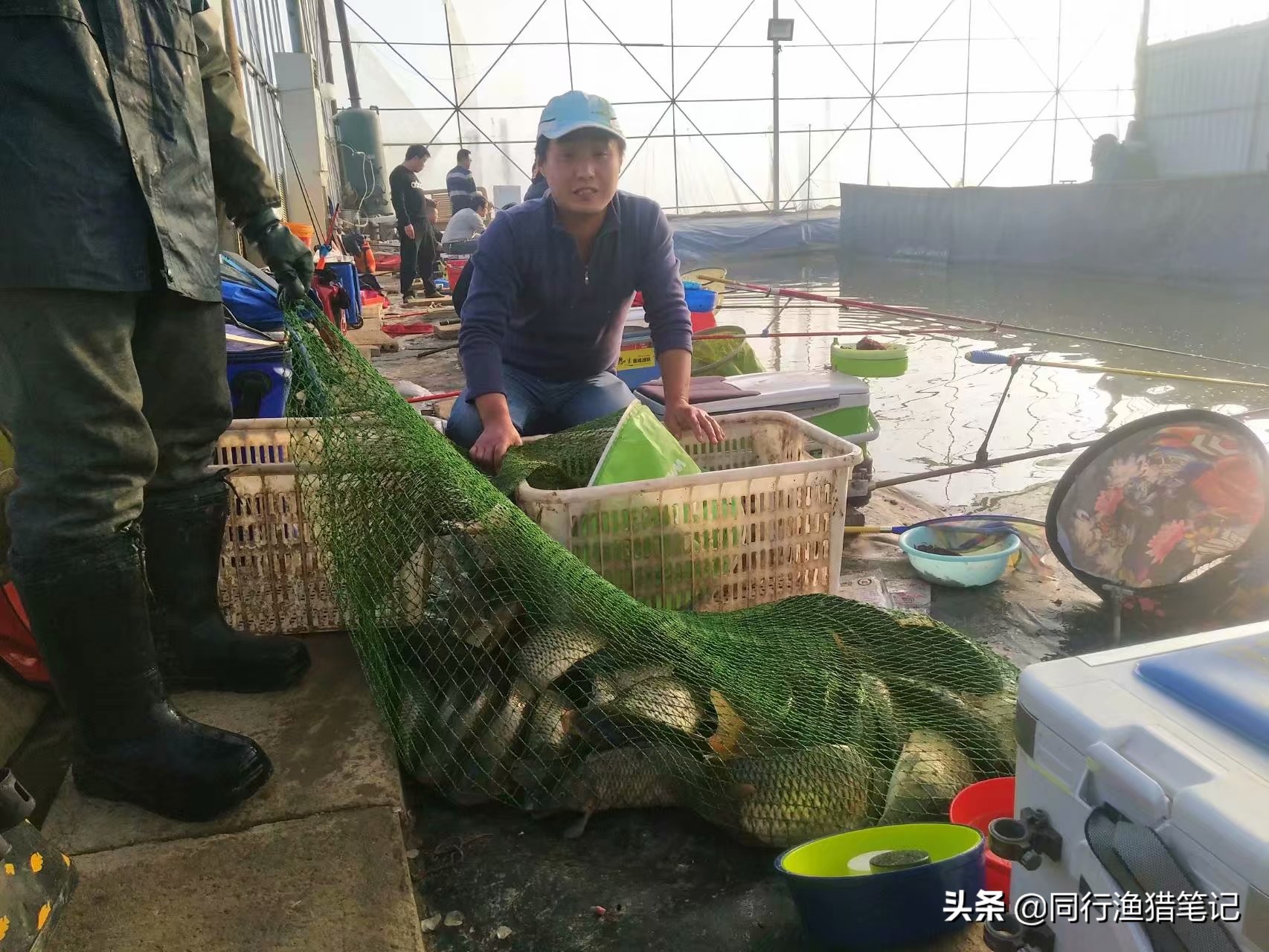 这八年来经历了太多的坎坷,为什么丸九的饵料好用