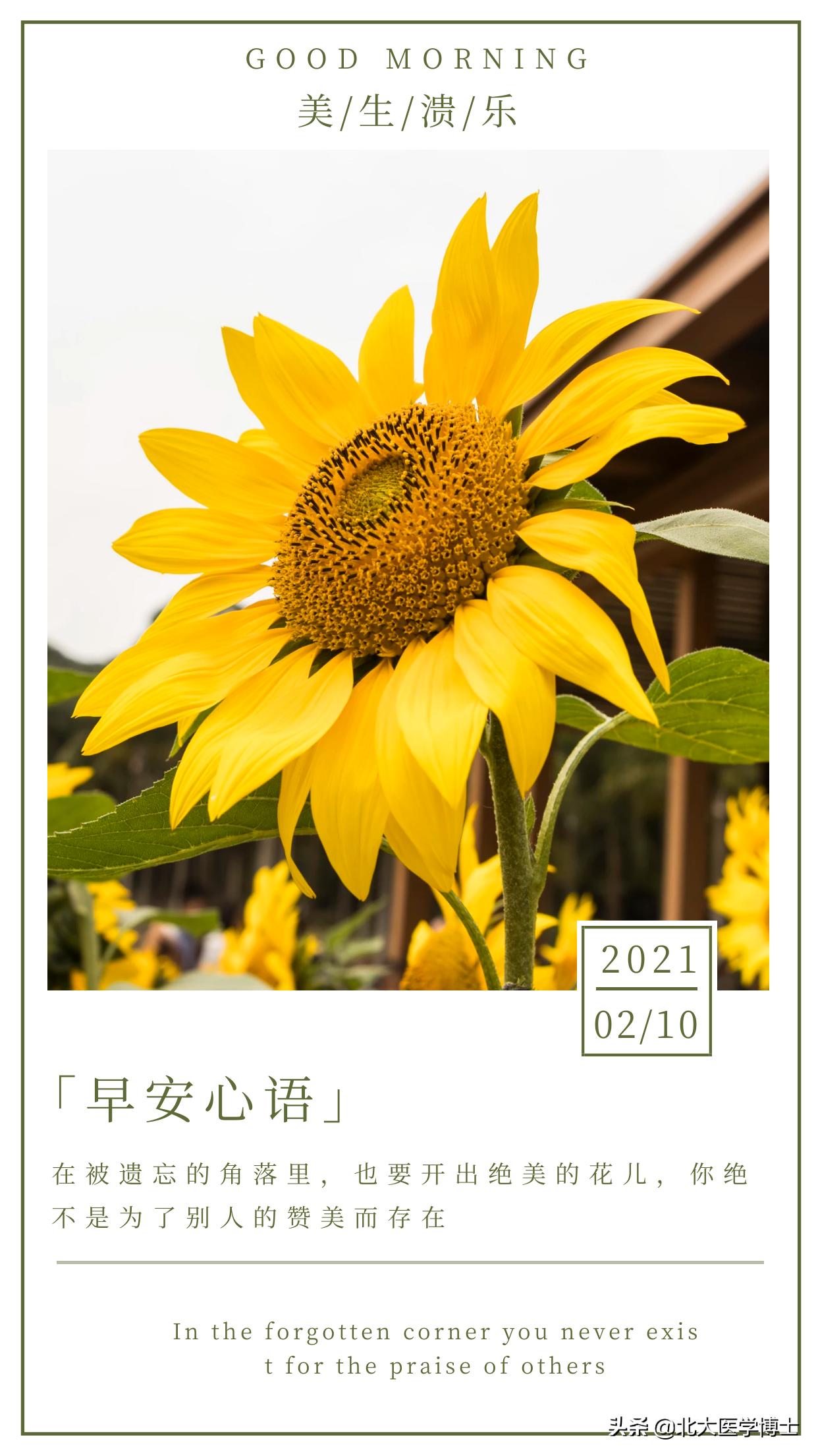 热毒带下病量大很烦人？介绍一个鸡冠花合剂治疗医案，看后收藏