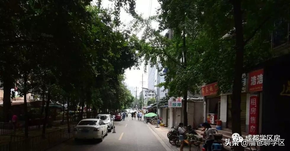 东城根小学学区房有哪些,东城根街小学2023招生计划