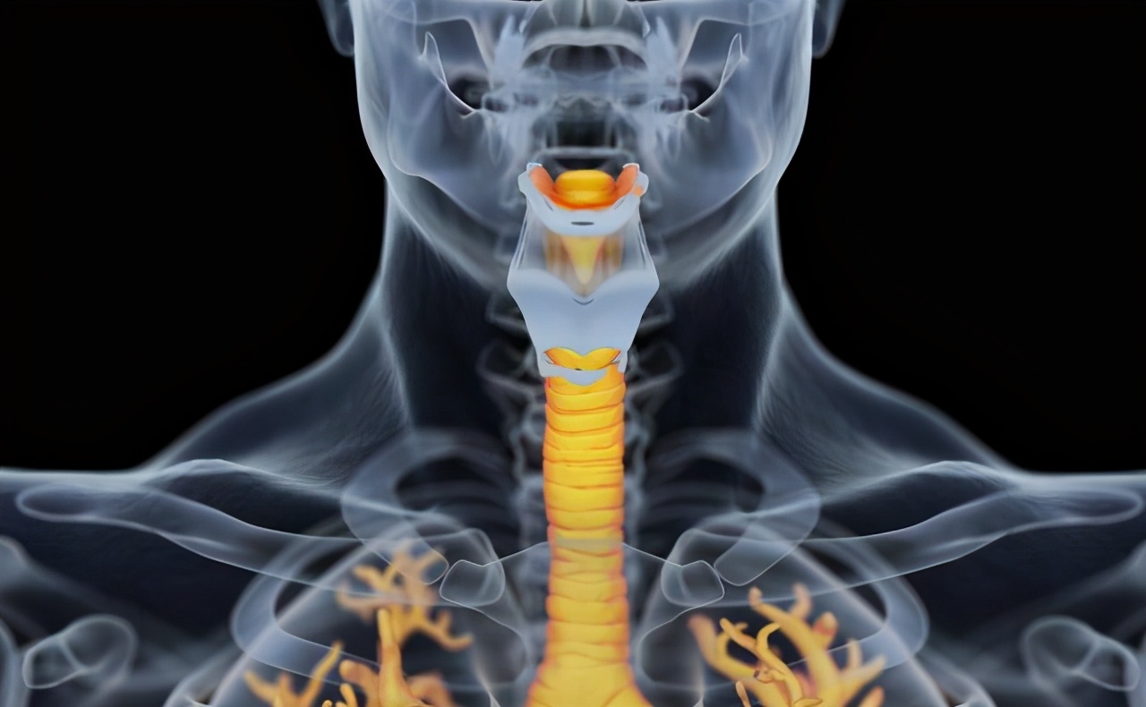 食管支气管瘘有哪些症状表现,食管气管瘘的诊断方法