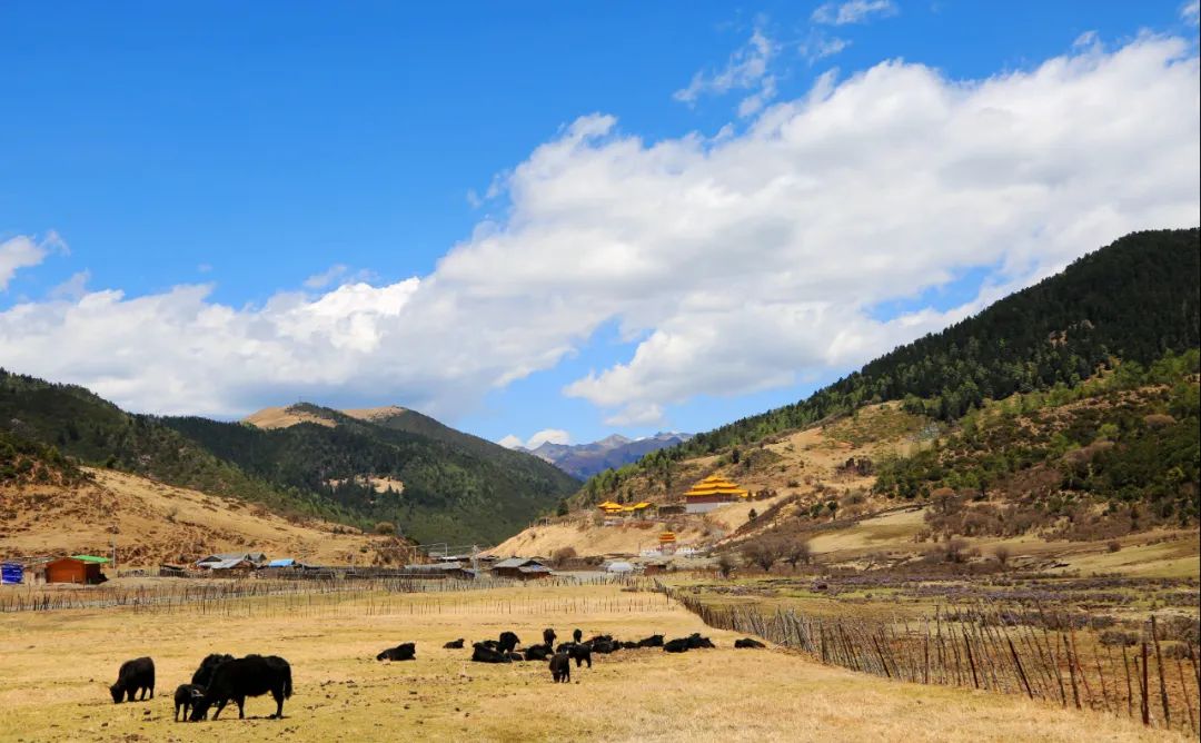洛克徒步木里到稻城翻的是哪座山,秘境四川甘孜