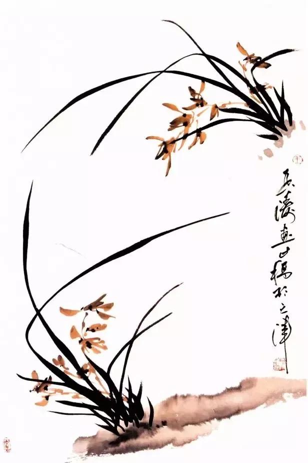 兰花绘画技法教程视频,泰国兰花绘画技法