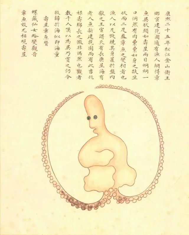 清代海错图有用吗,故宫海错图展