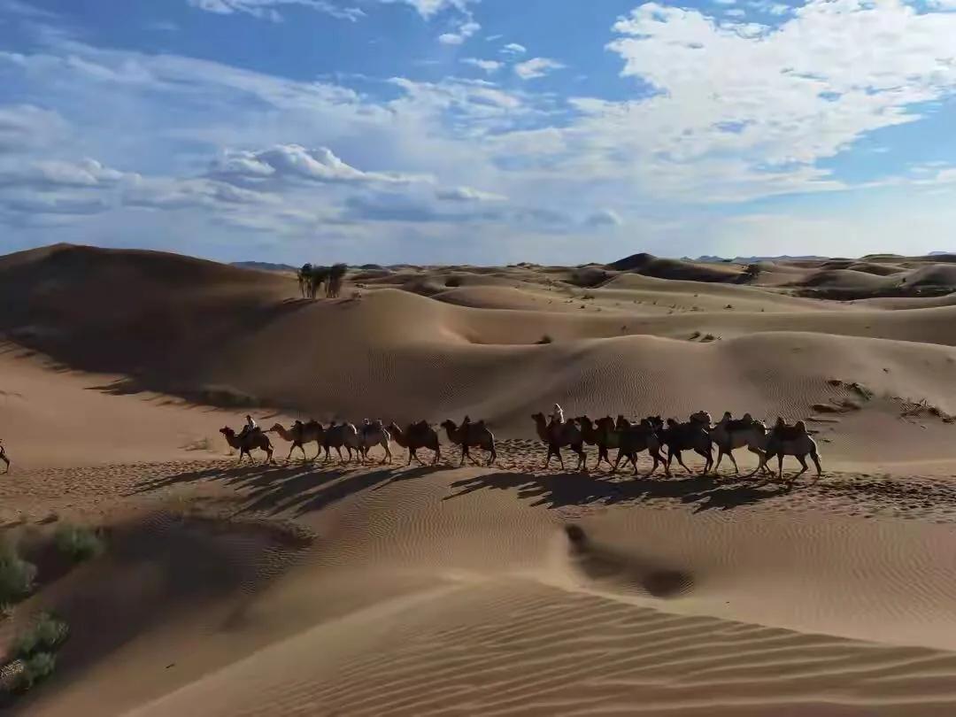 手拍世界-2021年09月各周最佳作品专集（总第716期）