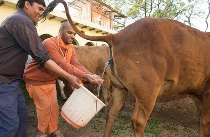 祖传秘方治新冠病毒,中医治好疫情的独特经验