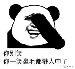 其它地方的毛发可以移植到头上吗,身上的毛可以移植到头发上吗