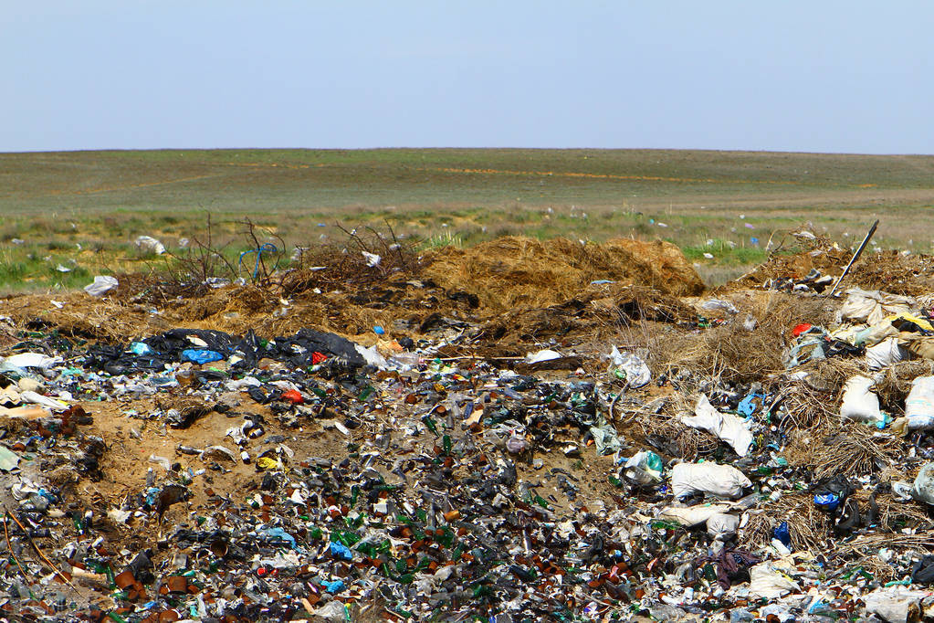 福州未来商机,福州创业加盟商机