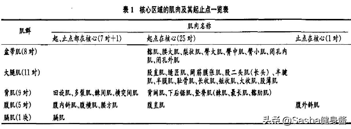 核心肌肉群的锻炼都有哪些,核心肌肉群锻炼方法图解