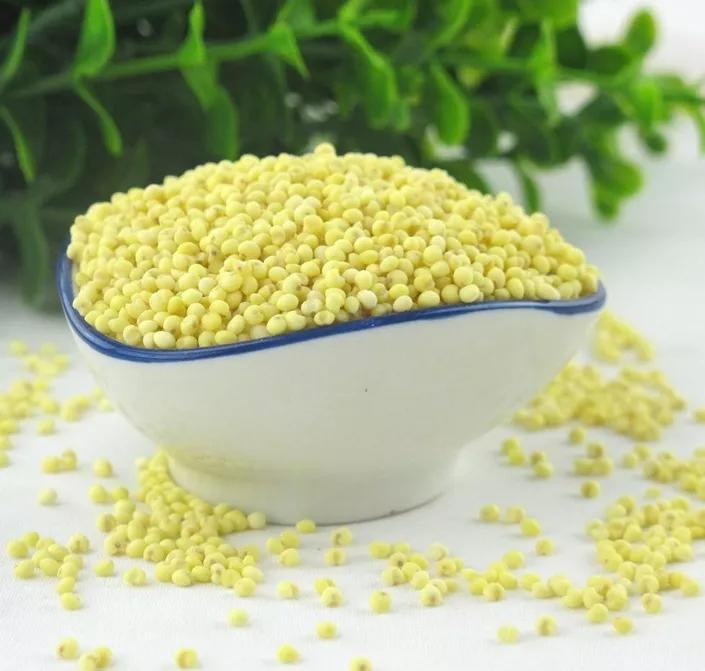 新评书：顽童学道记26,少年刘神仙是如何学道的？脱胎换骨叁