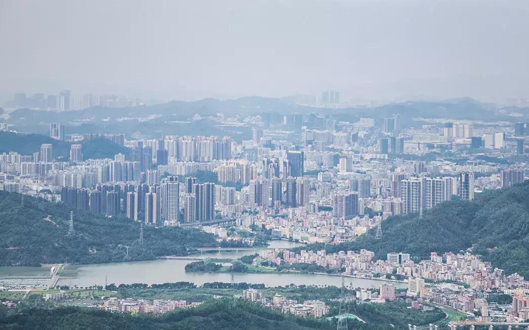 附近莲塘,附近的莲塘