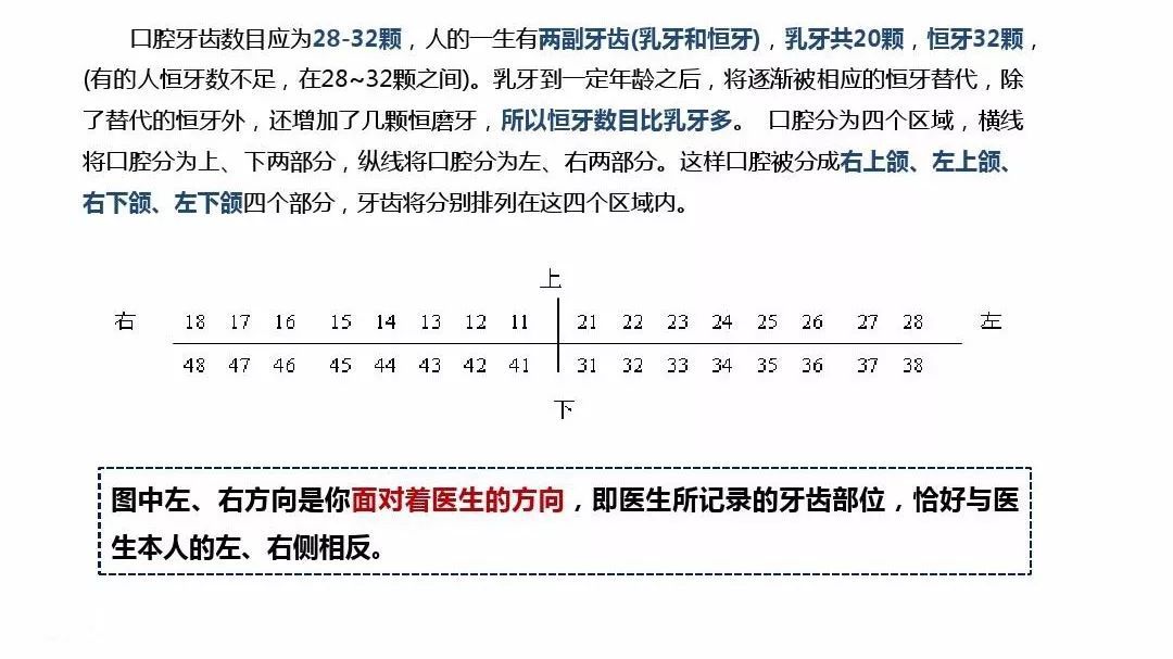 牙虎,虎牙齿拔不掉怎么办