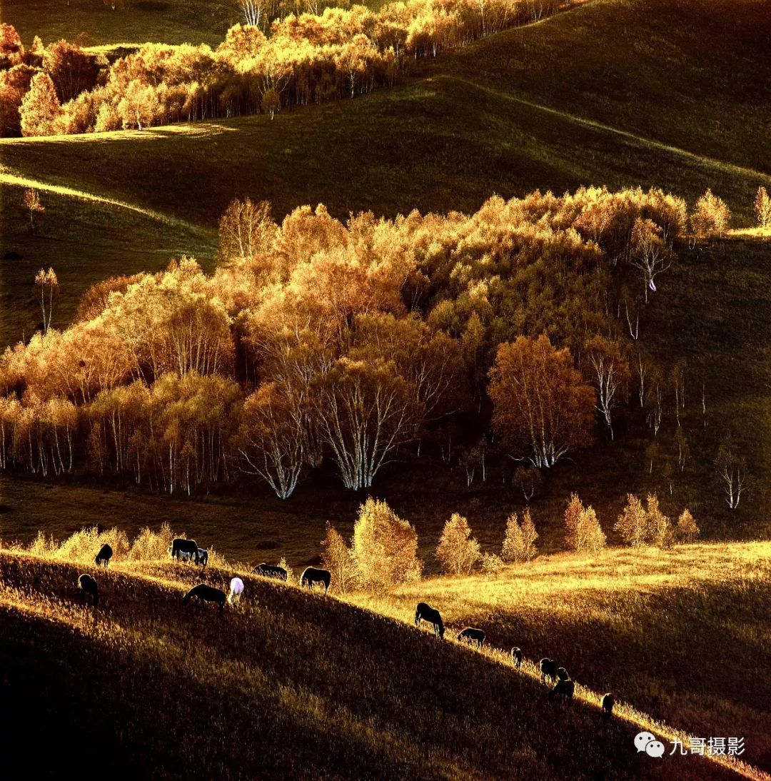 坝上草原天路美景,大美坝上风光系列之一