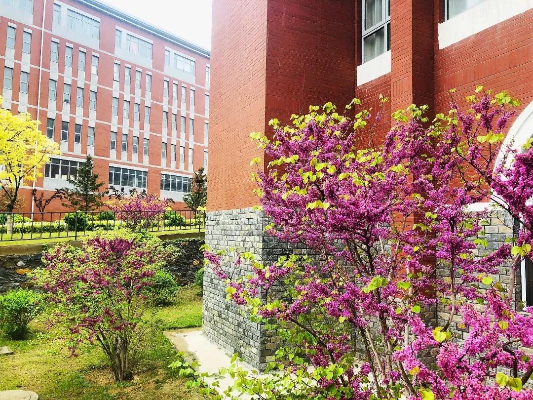 民办学校大连艺术学院全国排名,大连艺术学院辽宁排名