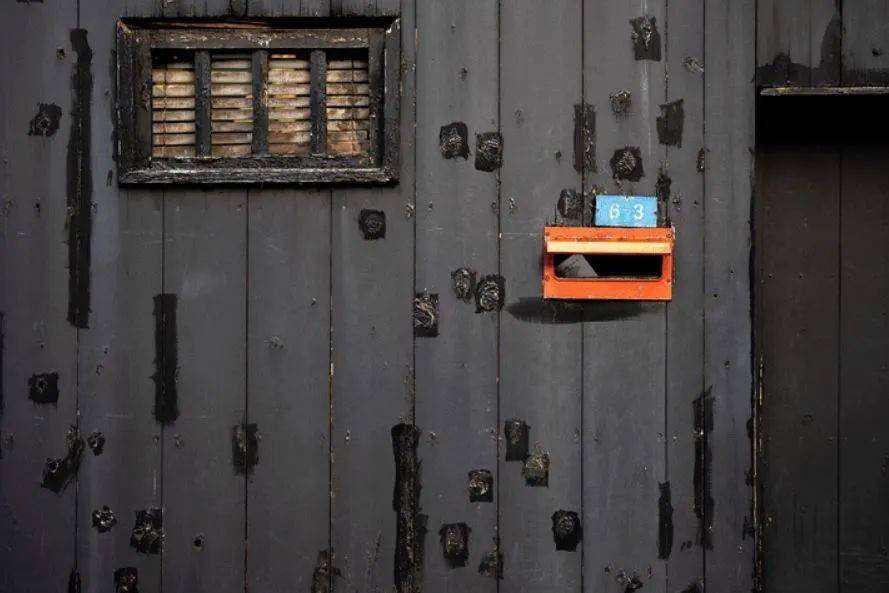 小白新手入手佳能,值得新手入门的佳能