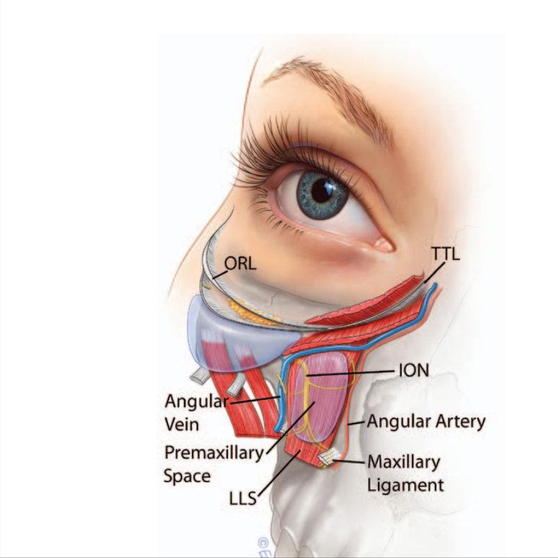 整形医生不会做手术怎么办,整形后遗症医生不会告诉你