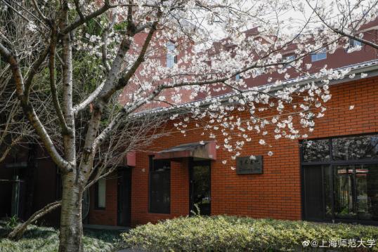 上海复旦大学心理学考研,上海心理学研究生