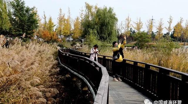 环翠景色,环翠美景