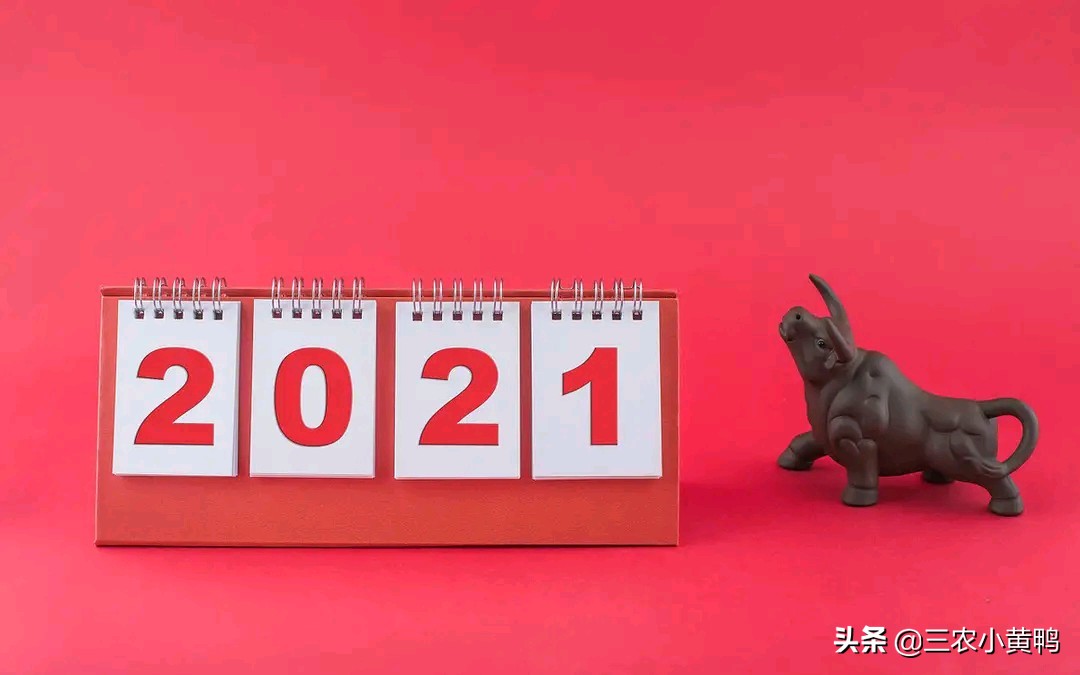 农历辛丑一年多少天,农历辛丑年总天数