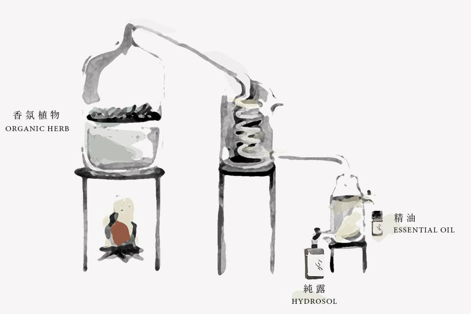 精油真的能治病吗,精油的功效与作用有减肥效果没有