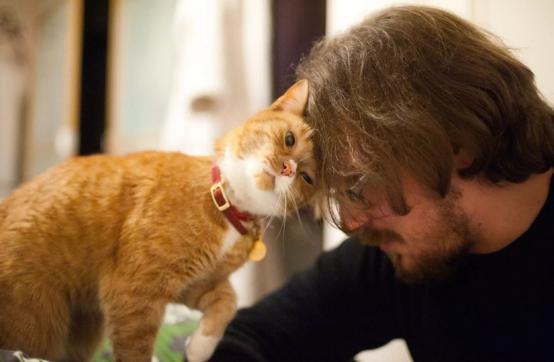 铲屎官曾经养过的宠物,铲屎官抓很多猫咪