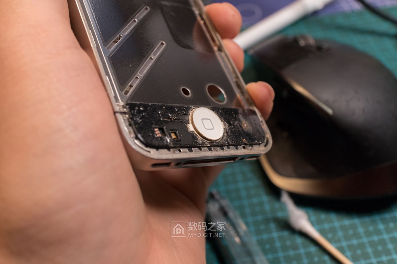 把未拆封的iphone4做成标本,iphone4被做成标本