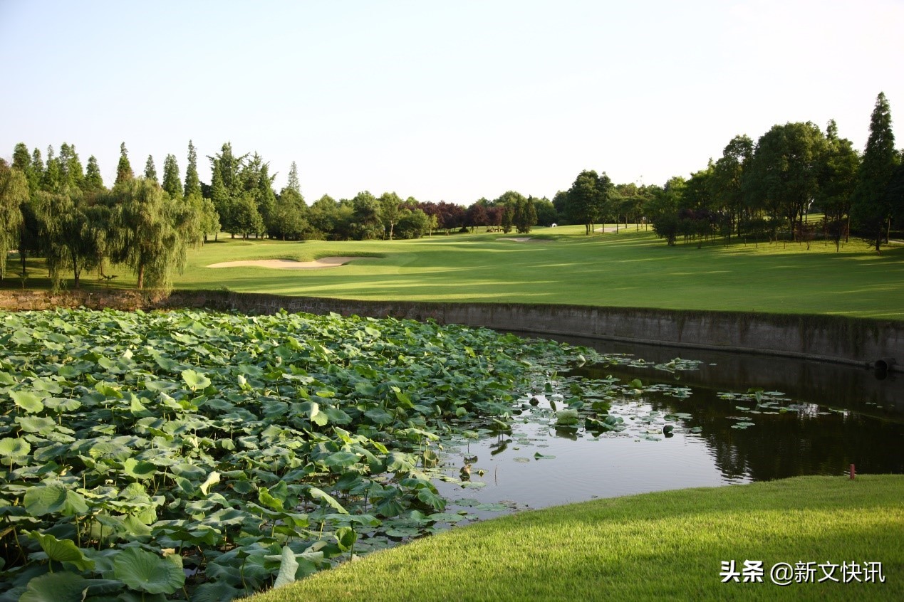 成都世警会赛事时间,2019年成都世警会